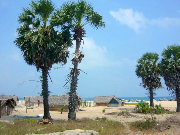 Grundstck bei Kalkudah und Batticaloa in Sri Lanka