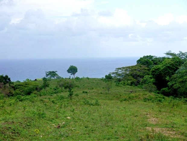 Baugrundst�ck Finca Nordk�ste der Dominikanischen Republik