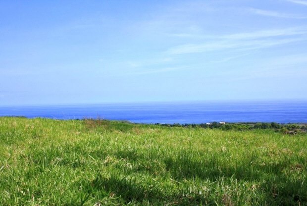 Baugrundst�ck mit Meerblick Dominikanische Republik