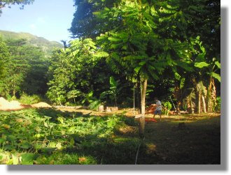 Grundstck auf La Digue Seychellen kaufen