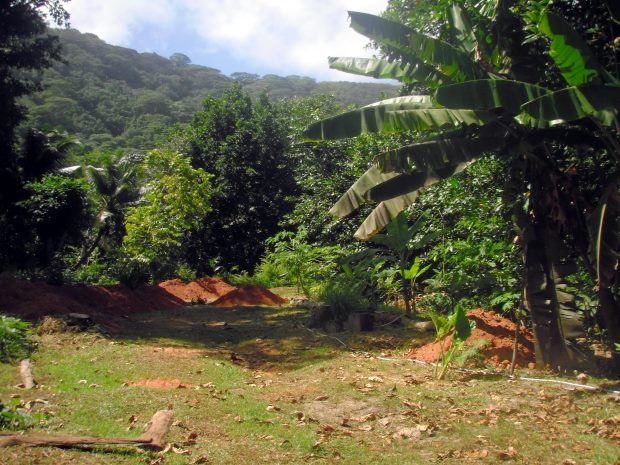 Baugrundst�ck bei La Passe der Insel La Digue Seychellen