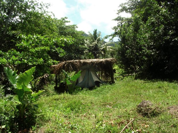 Baugrundst�ck mit viel Gr�n