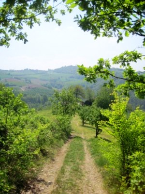 Grundstück im Piemont Italien Grundstück im Piemont Italien