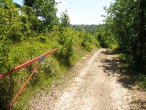 Einfahrt vom Grundstück Einfahrt vom Grundstück