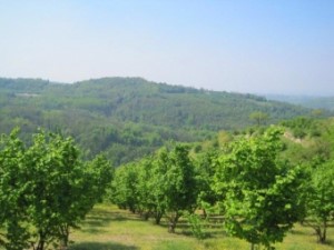 Rustico Grundstück mit Fernblick Rustico Grundstück mit Fernblick