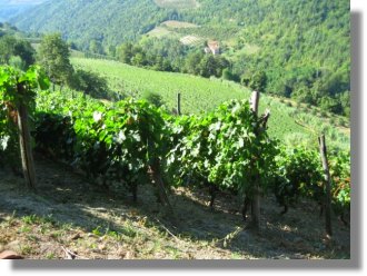 Grundstck in Cerretta Cuneo Piemont Italien