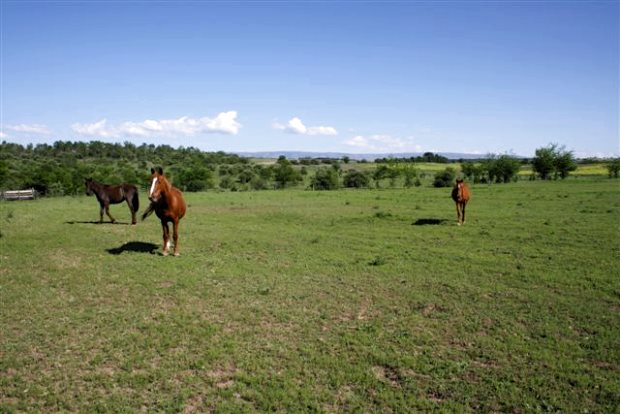Pferderanch Estancia in Argentinien