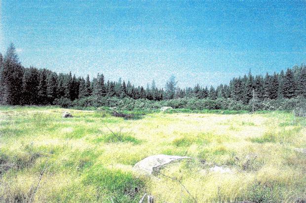 Grundstück mit Wald und Wiese bei Thunder Bay in Kanada Grundstück mit Wald und Wiese bei Thunder Bay in Kanada