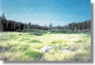 Grundstck bei Upsala Thunder Bay Ontario 