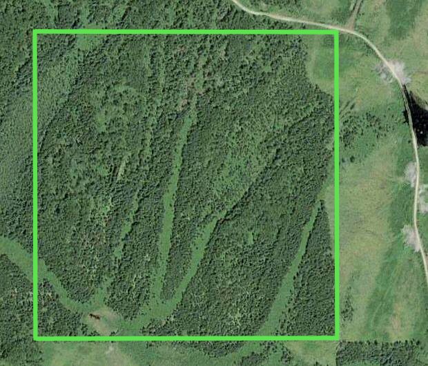 Grundstück mit Wald und Wiese im Thunder Bay District von Kanada Grundstück mit Wald und Wiese im Thunder Bay District von Kanada