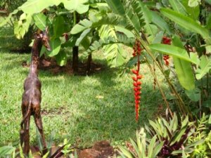 Garten vom Einfamilienhaus