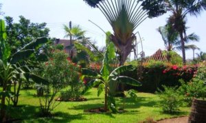 Garten vom Einfamilienhaus