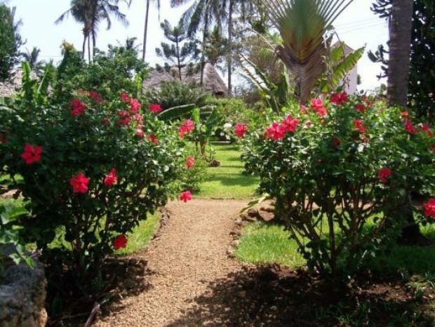 Blick in den Garten der Villa