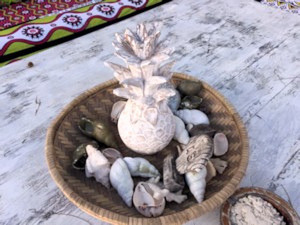 Muscheln Schnecken vom Diani Beach