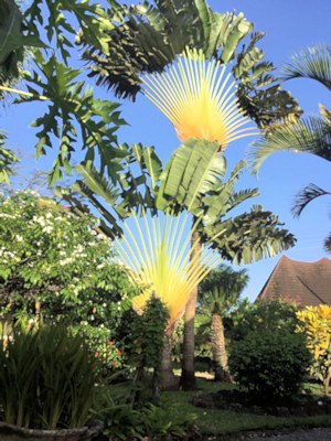 im Garten des Einfamilienhauses