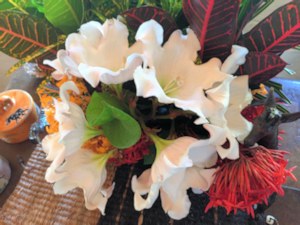 tropischer Garten der Villa am Diani Beach