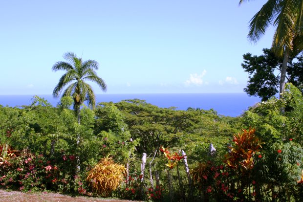Ausblick vom Einfamilienhaus