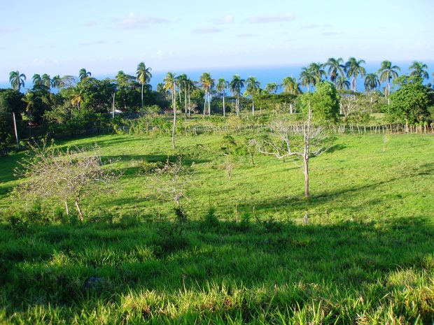 Finca vom Einfamilienhaus