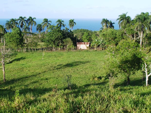 Grundst�ck vom Einfamilienhaus mit Meerblick