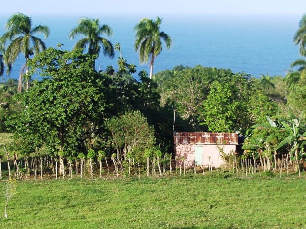 Angestelltenhaus auf dem Grundst�ck vom Einfamilienhaus