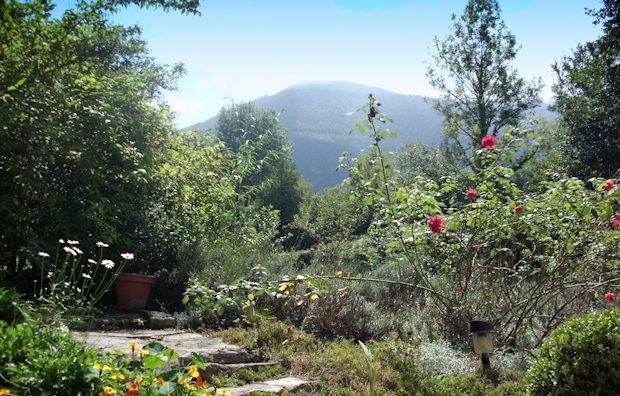 Garten Grundstck vom Ferienhaus in Sdfrankreich