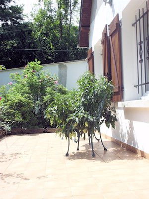 Terrasse vom Landhaus