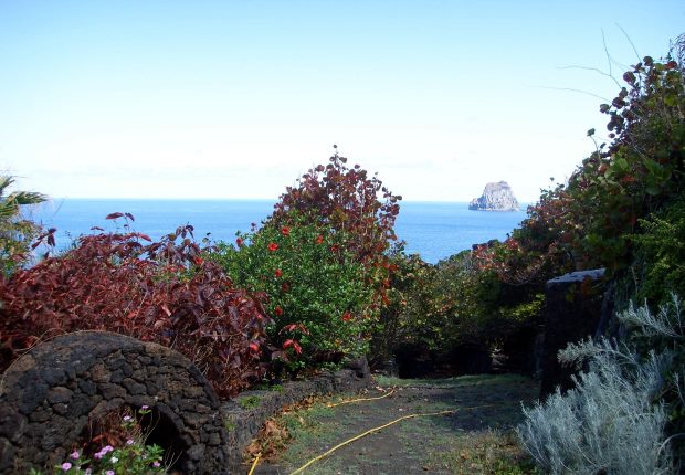 Grundstck und Garten der Finca