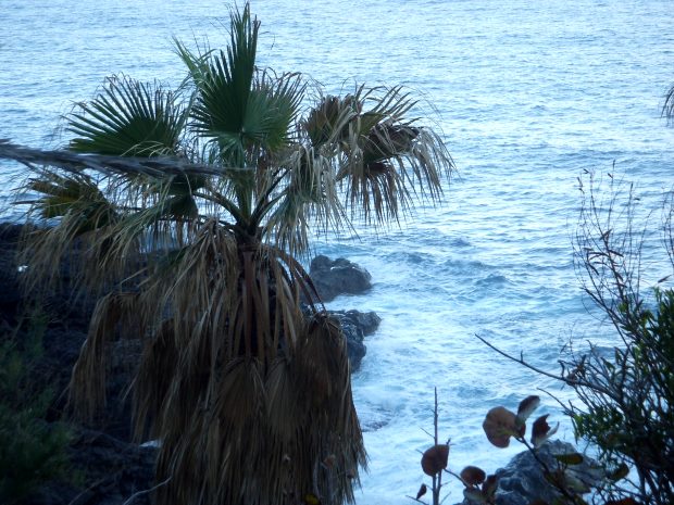 Finca am Meer auf El Hierro