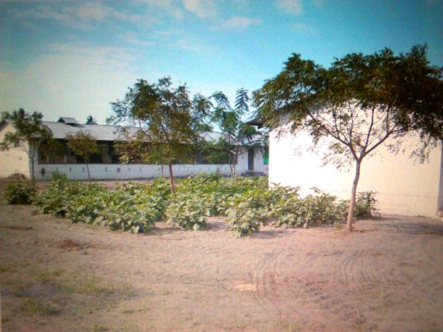 Geflgelfarm bei Bagamoyo in Tansania zum Kaufen