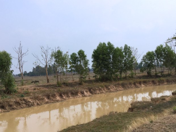 Reisland Grundstck am Khlong in Thailand