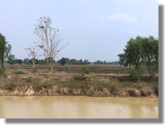 Grundstck bei Buriram Thailand