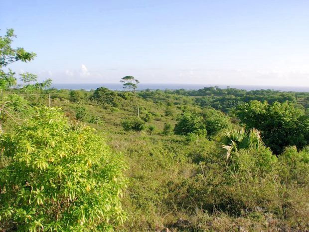 Grundstck mit Meerblick bei Sosua und Puerto Plata