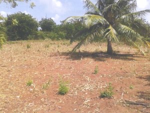 Bauplatz Grundstück der Ferienwohnungen Bauplatz Grundstück der Ferienwohnungen