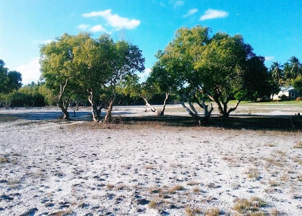 Grundstück Bauplatz der Ferienwohnungen in Kenia Watamu Grundstück Bauplatz der Ferienwohnungen in Kenia Watamu