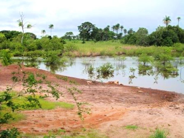 Baugrundst�cke unweit vom Fluss Gambia