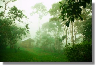 Grundstck mit Husern bei Puyo Ecuador