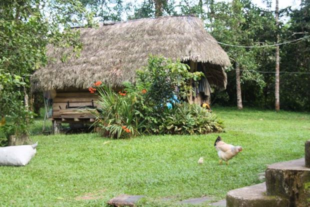 Haus im Urwald von Ecuador