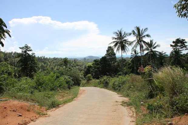 Zufahrtsstrae zum Grundstck