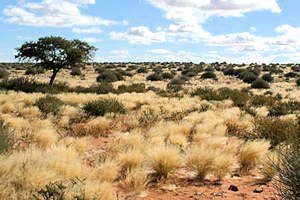 Grundstück der Region Karas von Namibia