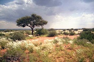 Farm in Namibia