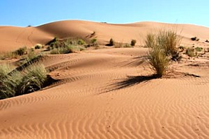 Wstenlandschaft der Farm in Namibia