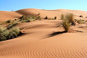 Wüstenlandschaft der Farm in Namibia