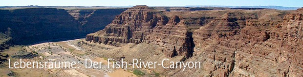 Fish River im Resort