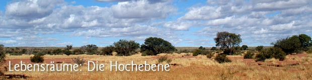 Hochebene der Ranch