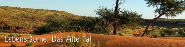 Ranch Resort in Namibia