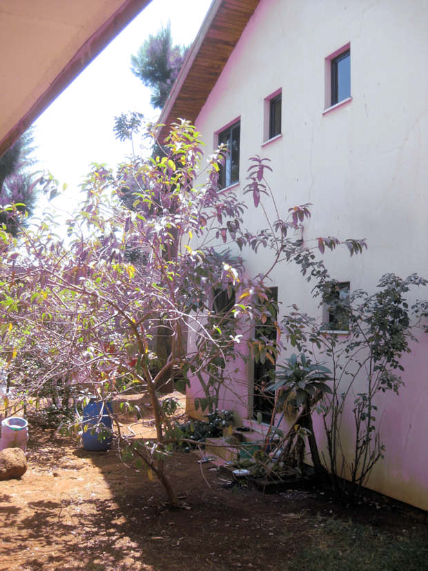 Rckansicht vom Wohnhaus in Bahir Dar thiopien