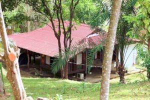 Kampung Haus auf dem Grundst�cjk der Ferienh�user