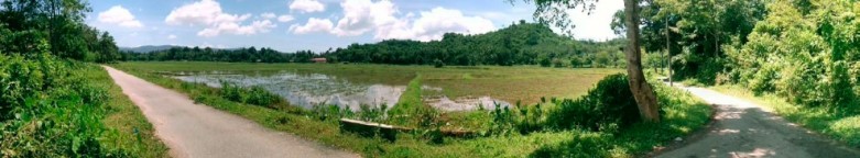 Zuweg zum Grundst�ck der H�user