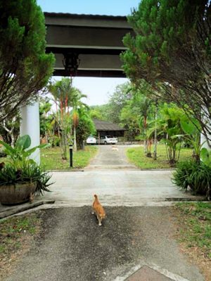 Eingangsbereich zu den ferienh�usern