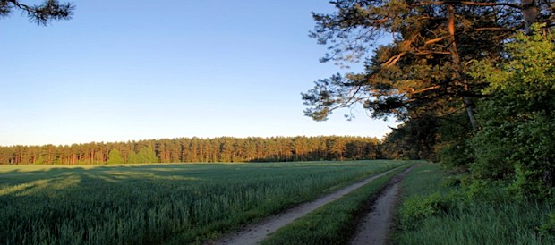 Grundst�ck am See in Polen